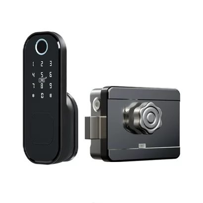 Electric Smartlock